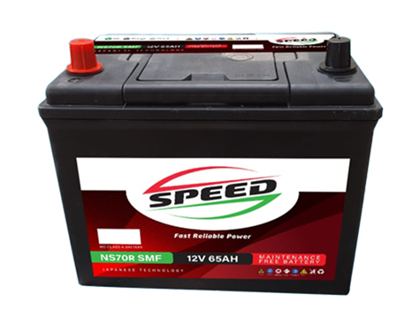 Panabiz-Website-April-2022---INDIVIDUAL-PRODUCT-IMAGE-SPEED (5) N100MF 12V 100AH SPEED Sealed Maintenance Free Automotive Battery - Image 1