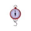 200KG Weighing Machine hannison with a spring hook