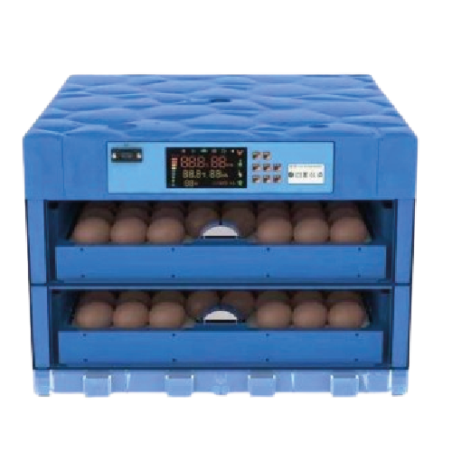 Asset-150.png