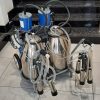 Milking machine double barrels electric